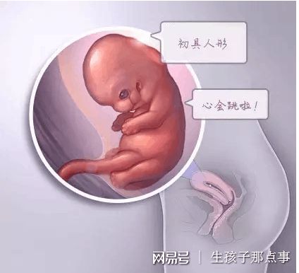 生殖科主任
